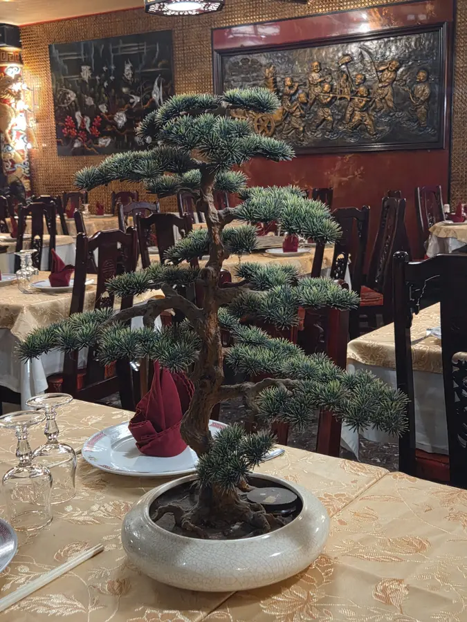 Bonsaï décoratif dans la salle du Restaurant Kinh Do